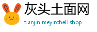 灰头土面网